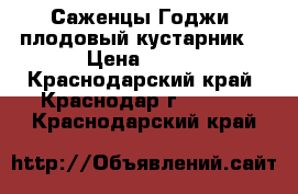 Саженцы Годжи (плодовый кустарник) › Цена ­ 100 - Краснодарский край, Краснодар г.  »    . Краснодарский край